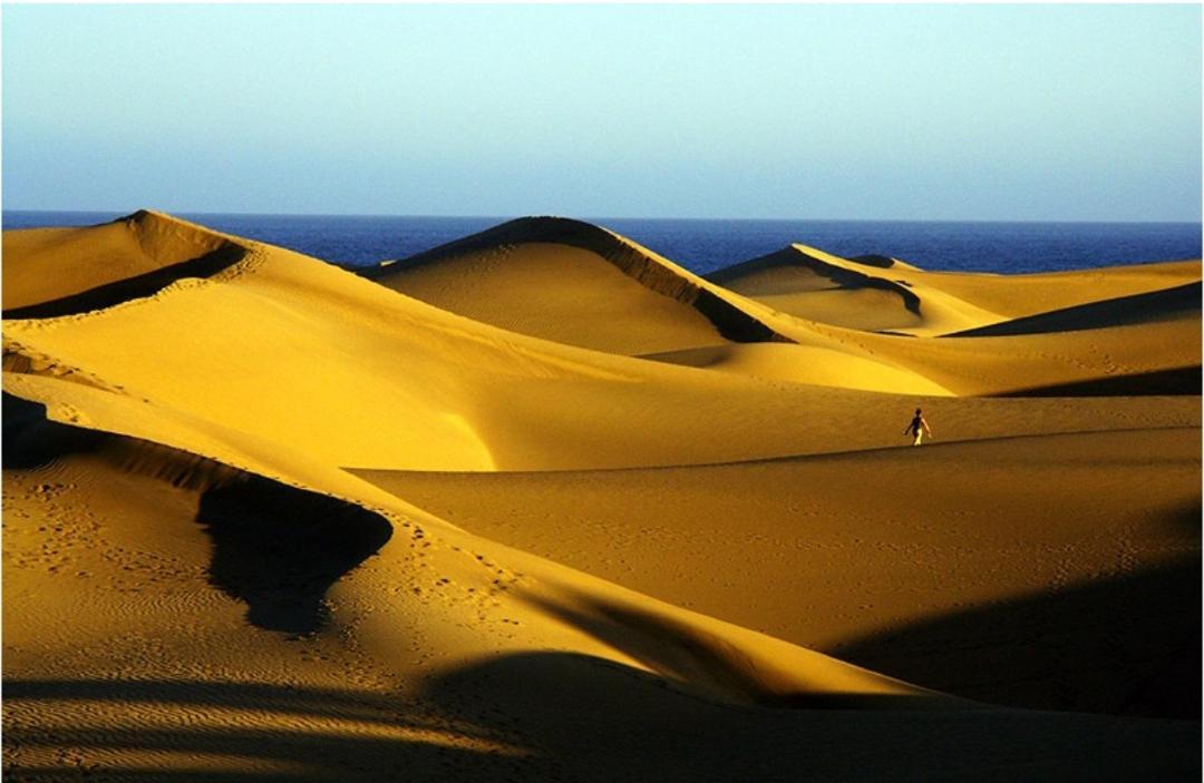 Appartamento Acogedor Octavo Hábitat Maspalomas  Esterno foto